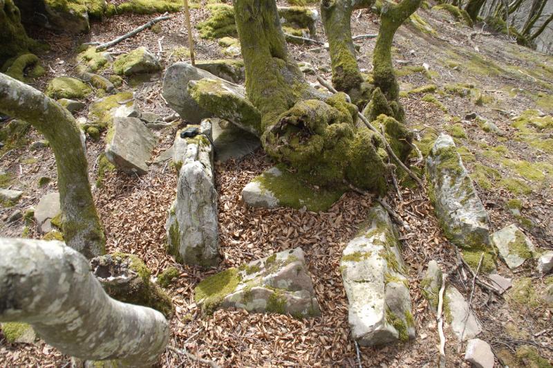 Dolmen Baseiko Haitza