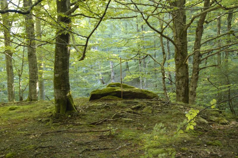 Dolmen de Ahatarteko Oihana