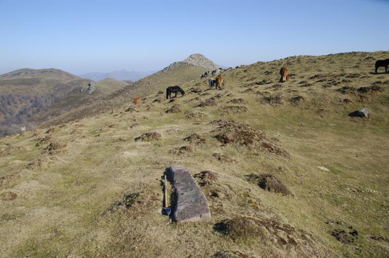 Menhir de Aitzalegi