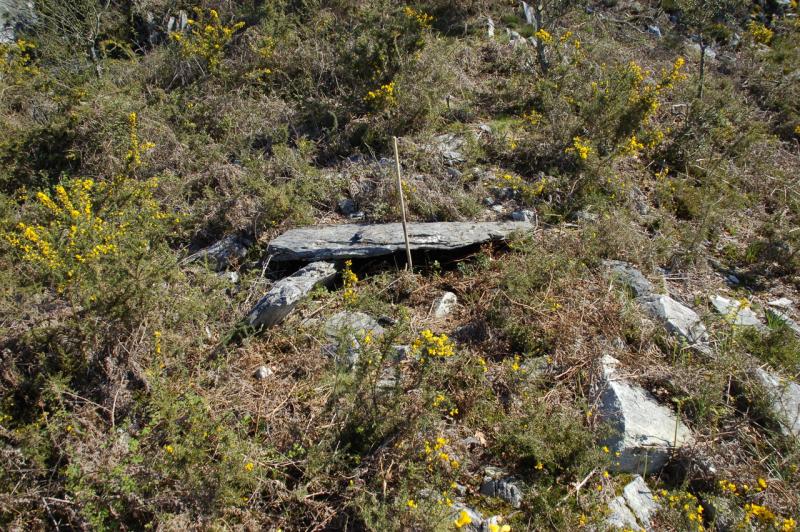 Dolmen de Arregi