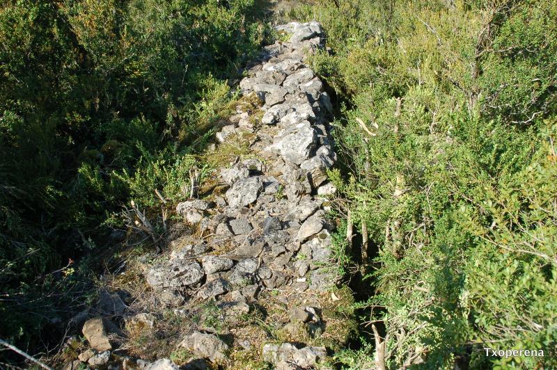 Muralla