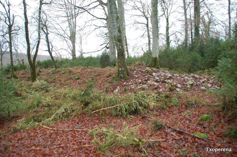  Ruinas de la muralla de Bidausi