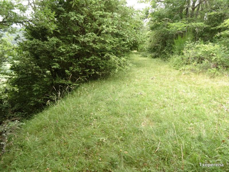  Borde del escarpe de la muralla