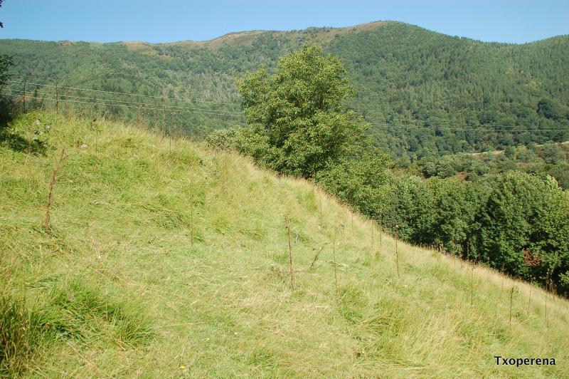 Terraplen en Irurueta