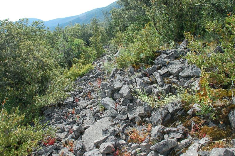 Derrumbe de la muralla superior