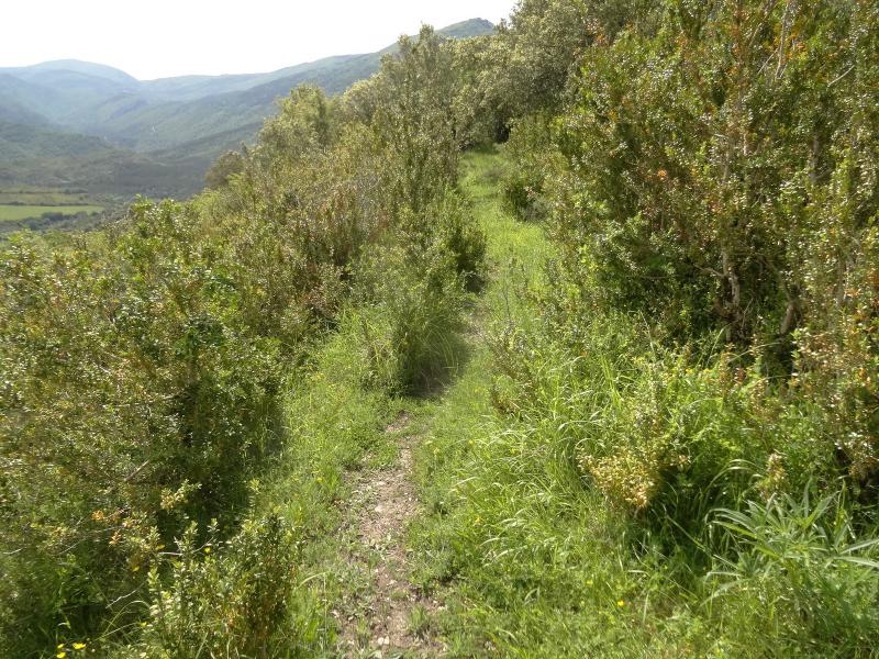 Plataforma de la muralla inferior