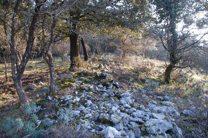 derrumbe de muralla al Oeste