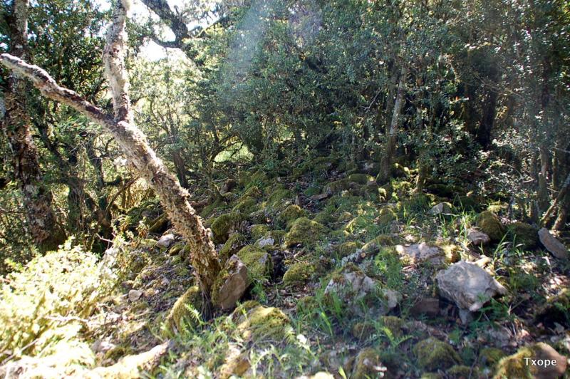 Derrumbe de la muralla Norte