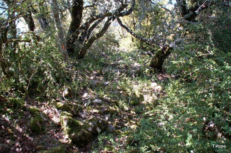 Derrumbe de la muralla Este