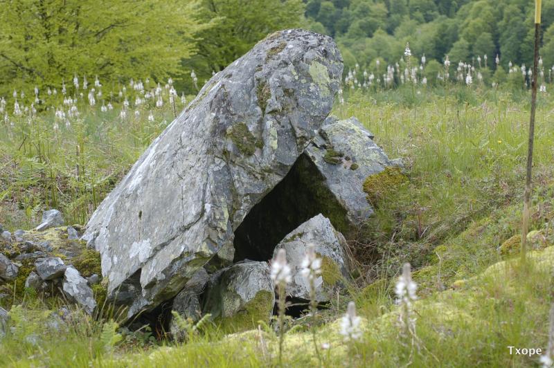 primer plano del dolmen de Epersaro