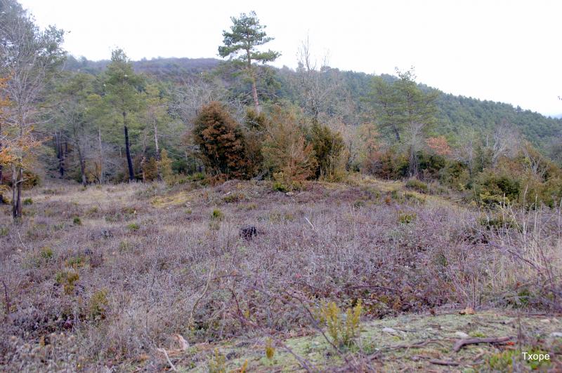 Dolmen de Soraundi en el cortafuegos desde el Oeste