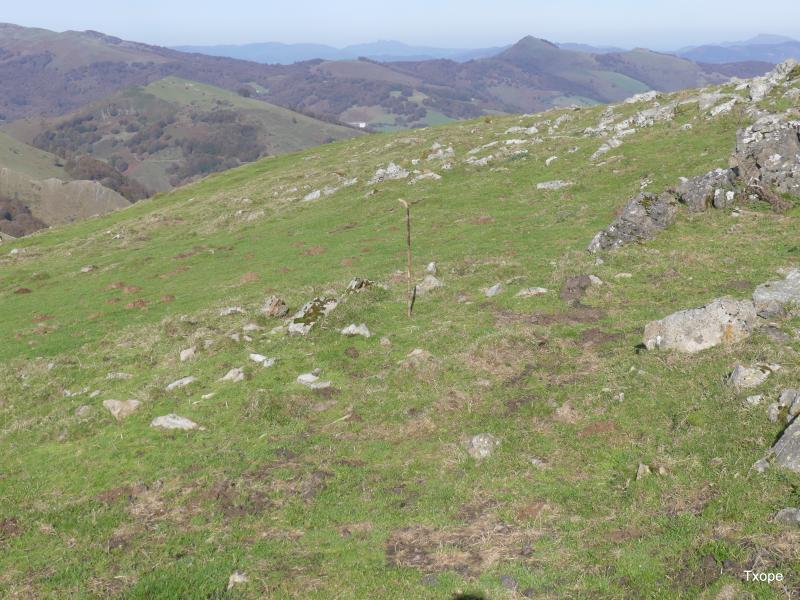 El dolmen de Sorolepo antes de la limpieza