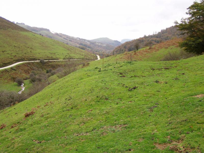 Fondo de cabaña de Ortxola