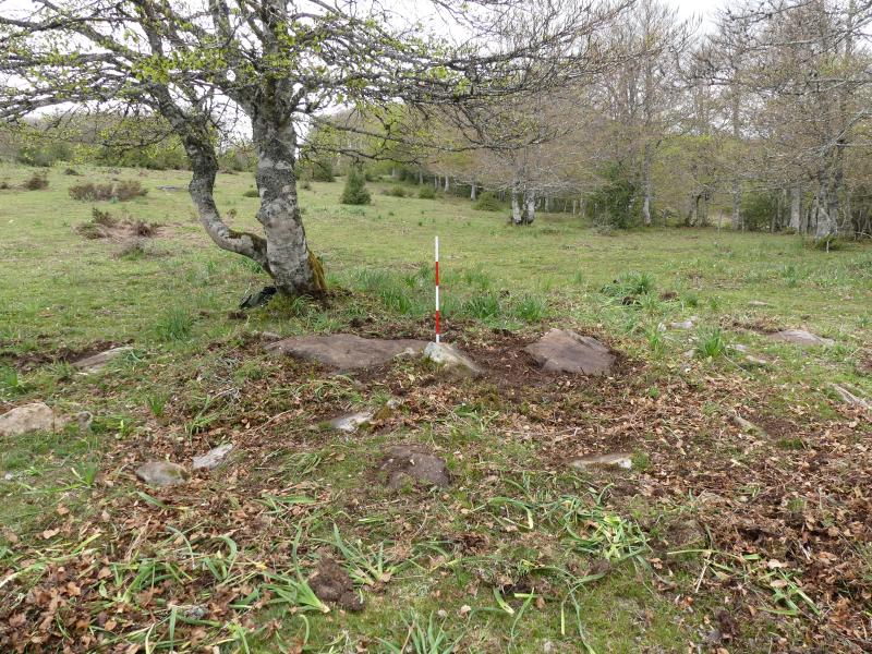 Vista del dolmen desde el Sur