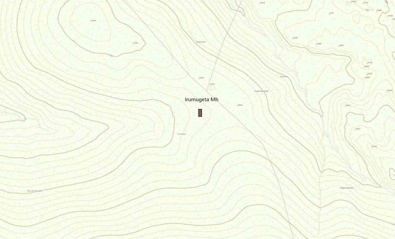 Localización en el mapa del menhir de Irumugeta (SITNA)