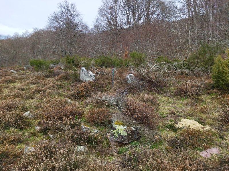 Dolmen de Salsangua