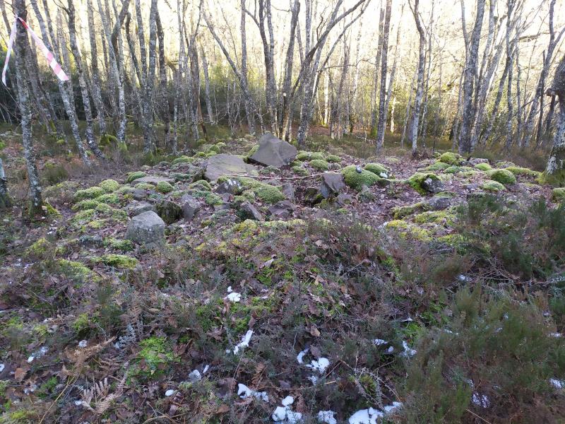 Dolmen Uligaitz 2 del sur