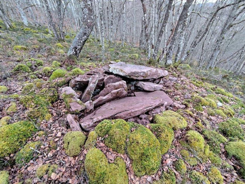 Dolmen de Iruerreka, foto Txintxurreta