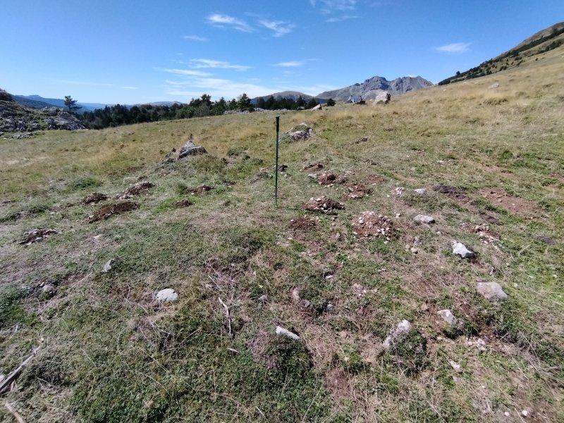Cromlech Eskilzarra Erreka del este (Txintxurreta)