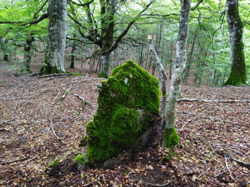 Menhir de Eskilzarra del norte (Txintxurreta)