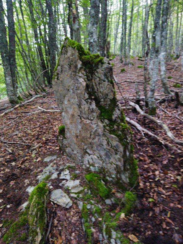 Menhir Eskilzarra del este (Txintxurreta)