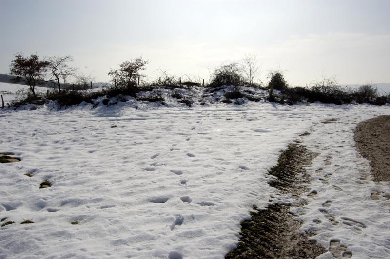 Txotxalabarrieta desde el sur