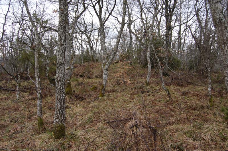 Dolmen visto del norte