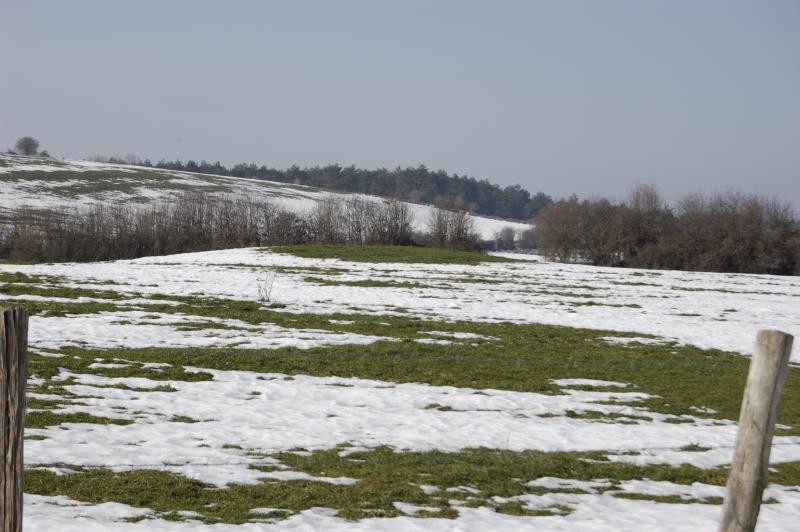 Auzaldia desde el sureste