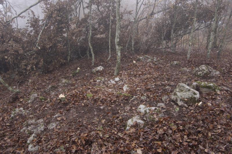 Crómlech de Lizarzu 4