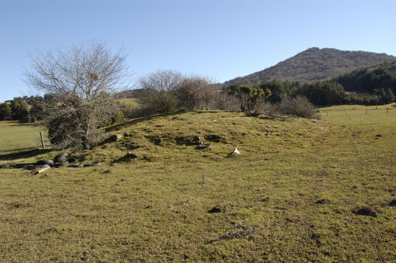 Dolmen de Erremendia