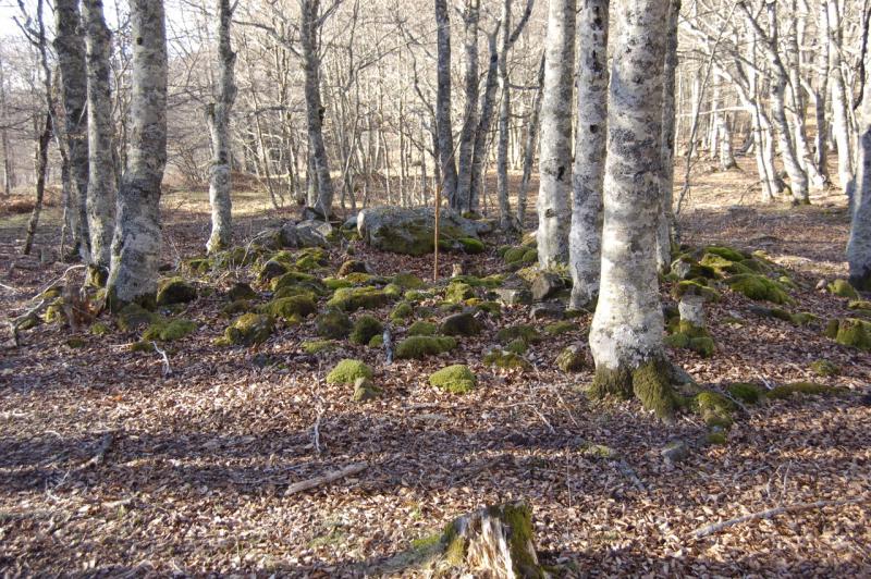 Dolmen de Urdinaga