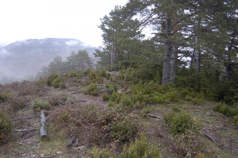 Túmulo de Albarri