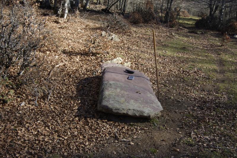 Menhir de Motxorro