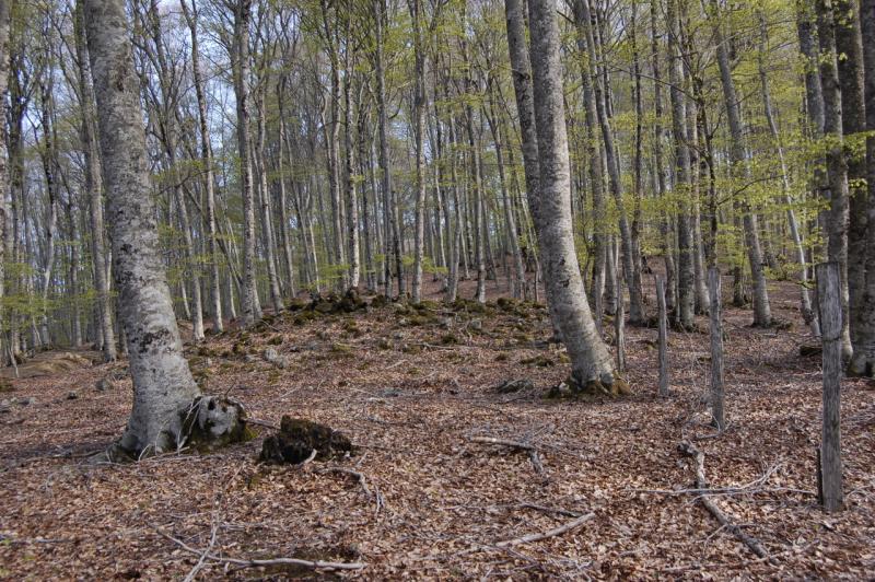 Dolmen de Baiarnegi