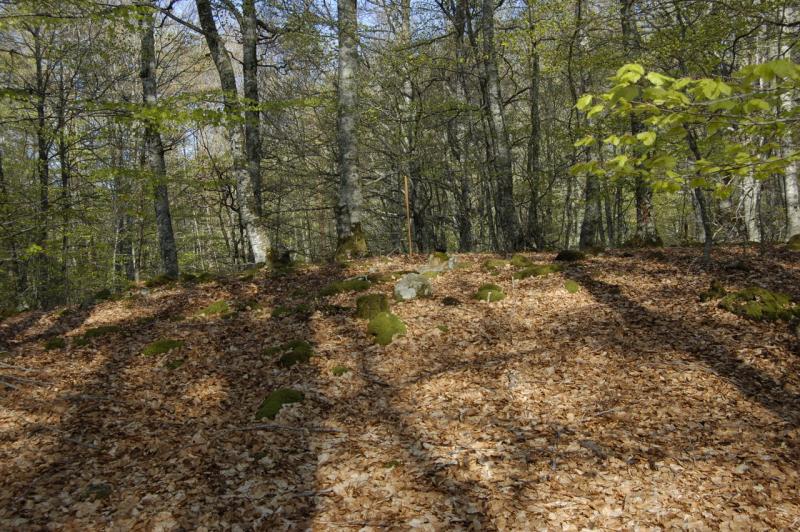 Dolmen de Baiarnegi Iparralde