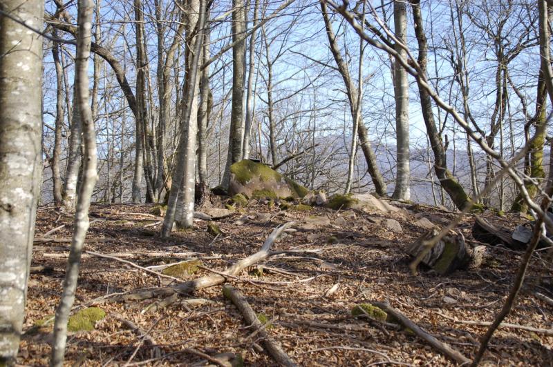 Dolmen de Otaltzu Azpia