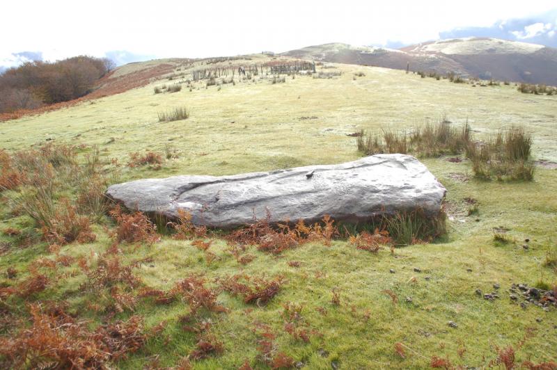 Menhir de Mehatzeko Bizkarra