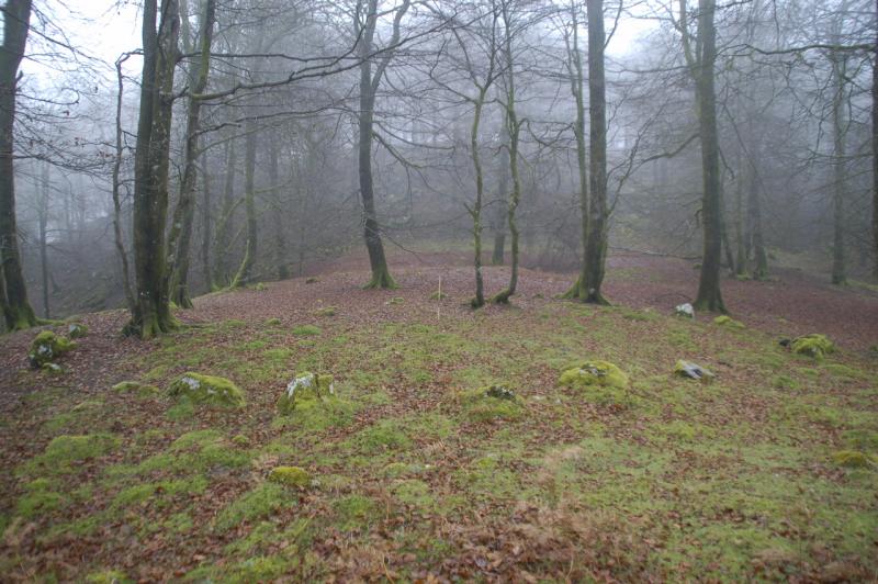 Cromlech del Paso de NapoleÃ³n 1