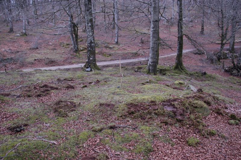 Cromlech de Arluz 3