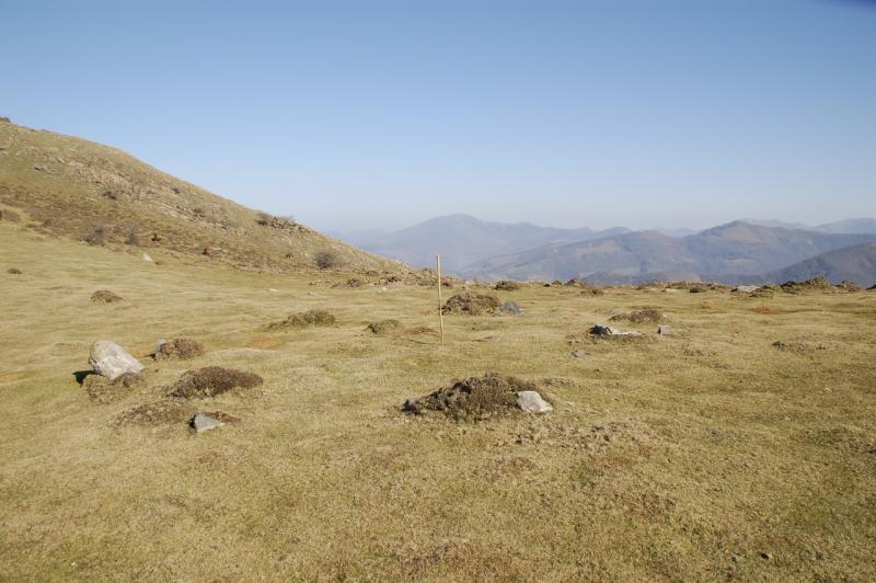 Cromlech de Gorospilgo Lepoa 1