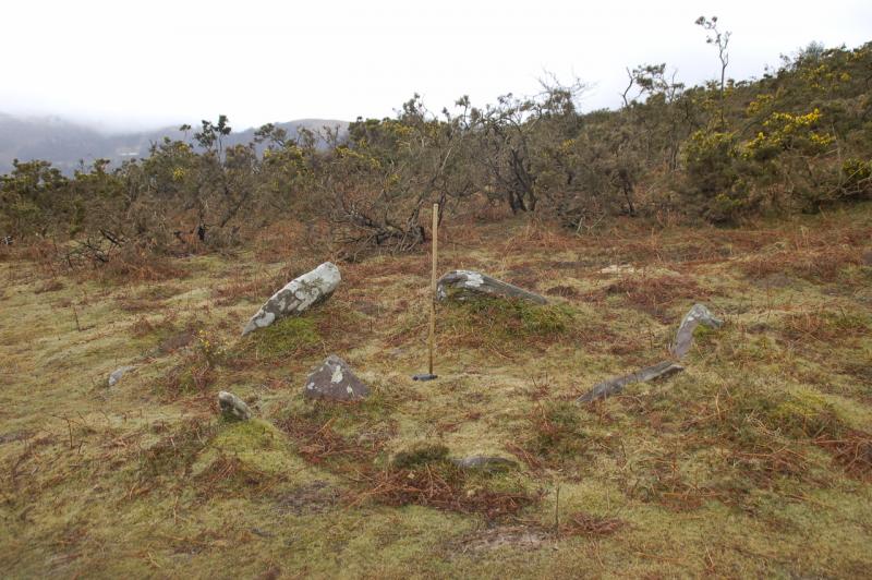 Cromlech de Telletxeko Bizkarra ekialde