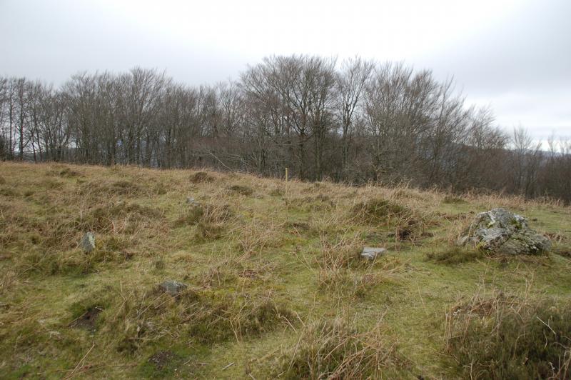 Cromlech 9 de Izurriztiko Lepoa