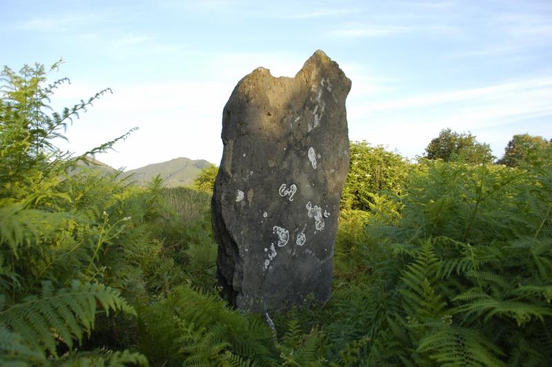 Menhir de Bidartxoko