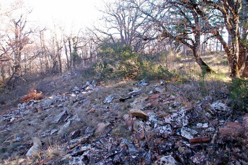 Castro de Santa Cruz-Ferrandillo