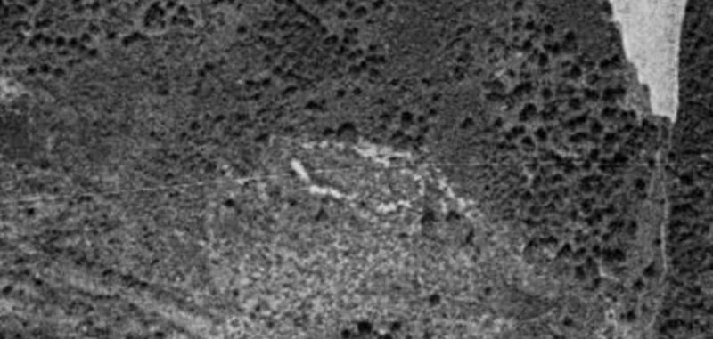 Orto-foto del vuelo histÃ³rico de 1956, SITNA