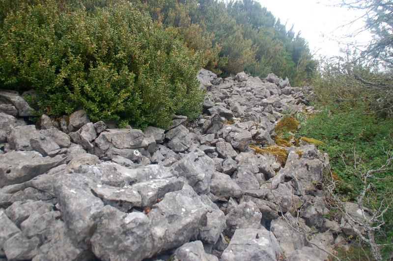 Derrumbe de la muralla por el Sur