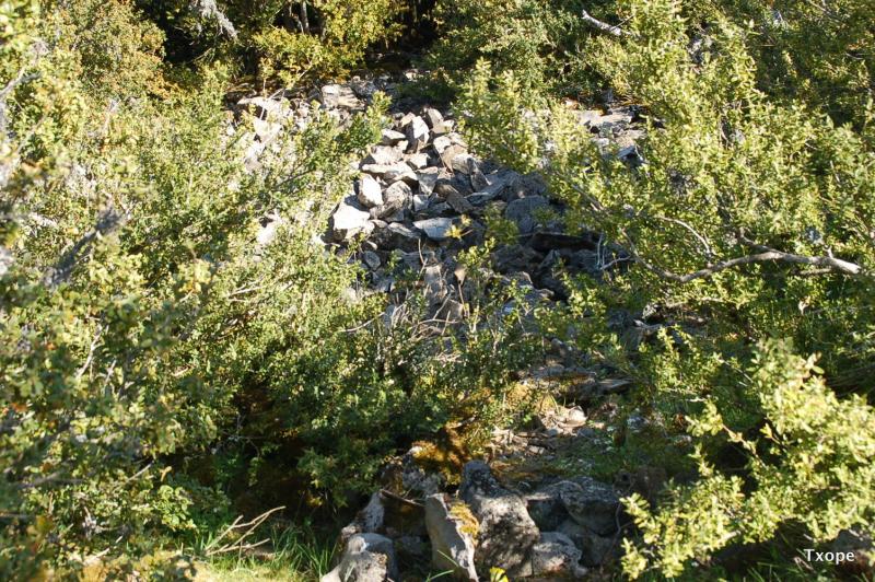 Derrumbe de estructura interior