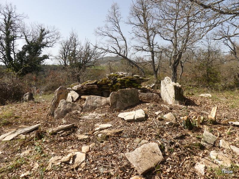 Dolmen visto del este
