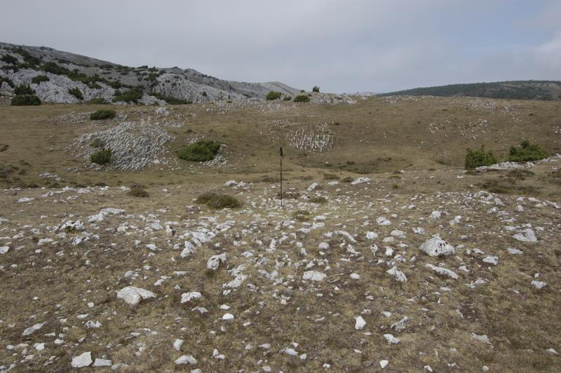 Dolmen de Balsa Fría