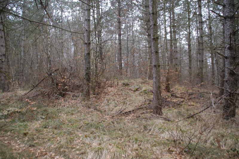 cráter con restos de losas